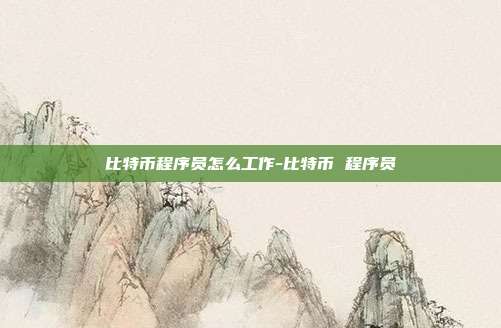 比特币程序员怎么工作-比特币 程序员