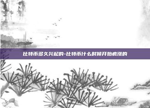 比特币多久兴起的-比特币什么时候开始疯涨的