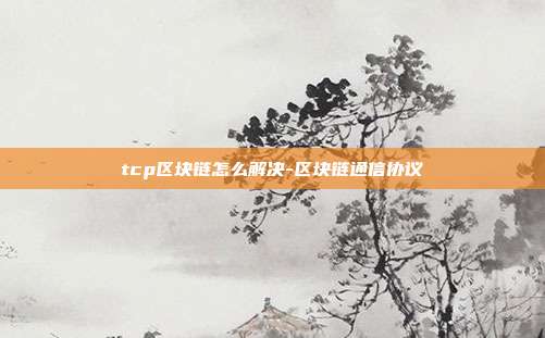 tcp区块链怎么解决-区块链通信协议