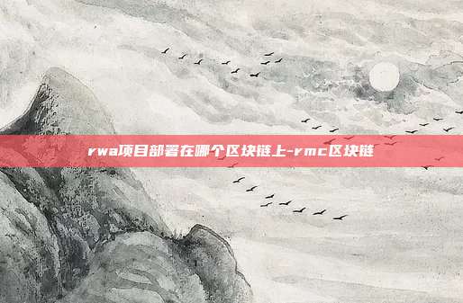 rwa项目部署在哪个区块链上-rmc区块链