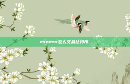 exness怎么交易比特币-