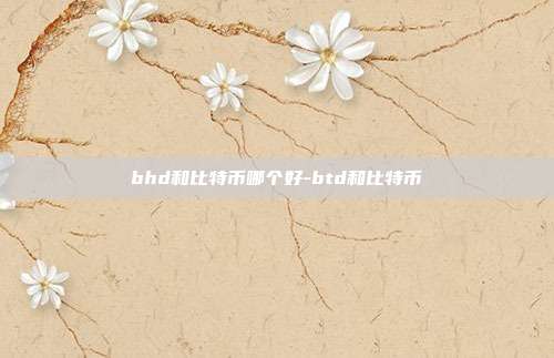 bhd和比特币哪个好-btd和比特币