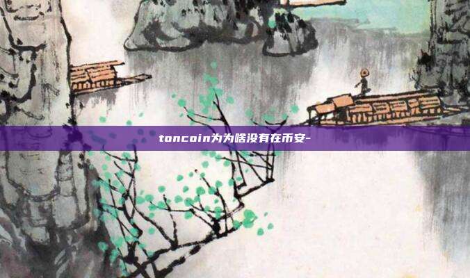 toncoin为为啥没有在币安-